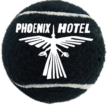 Dog Tennis Balls - BLACK