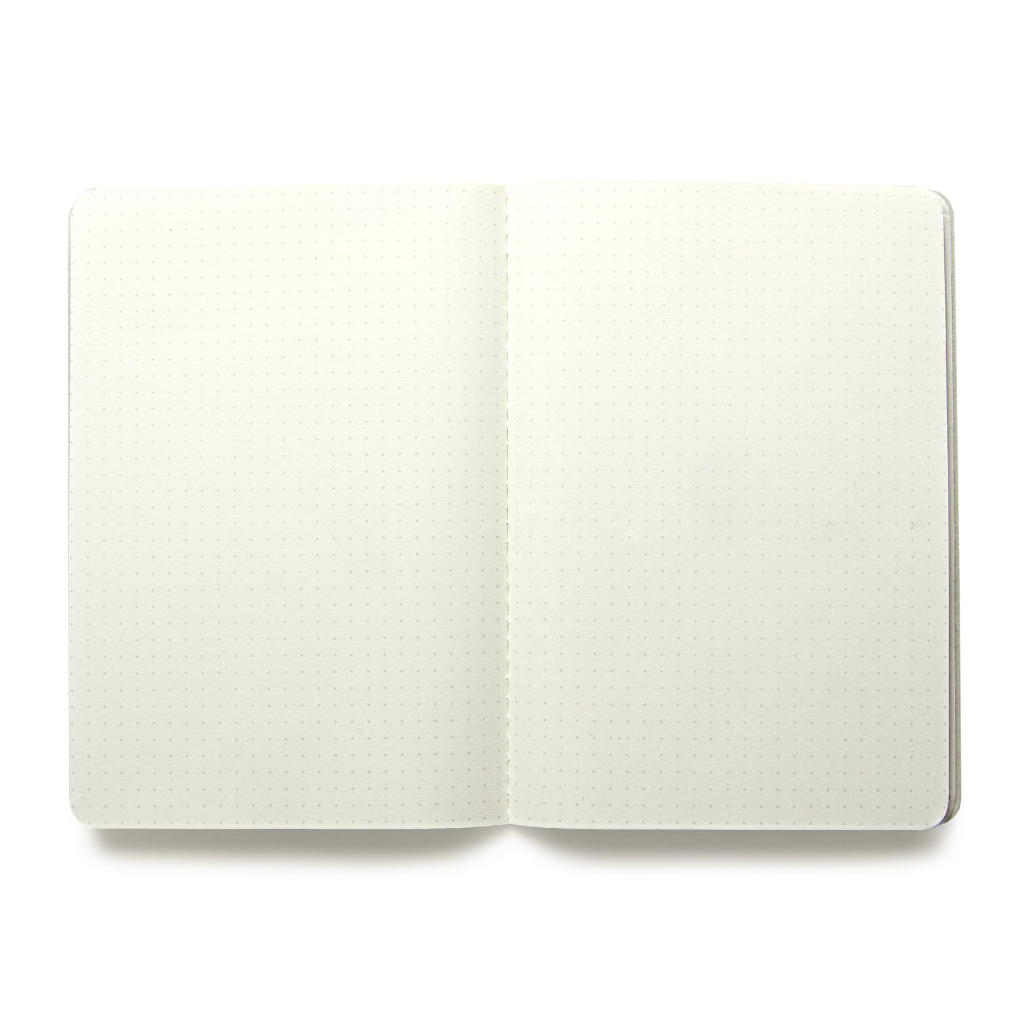 Baronfig Notebooks